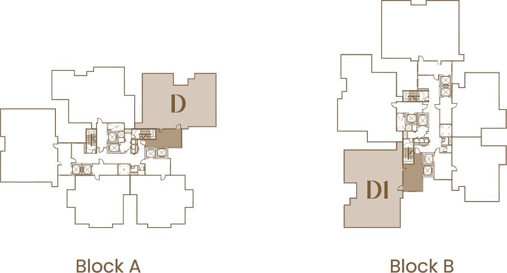 Type D/D1 related block view 2